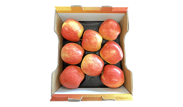 Ambrosia Apples 1.9kg