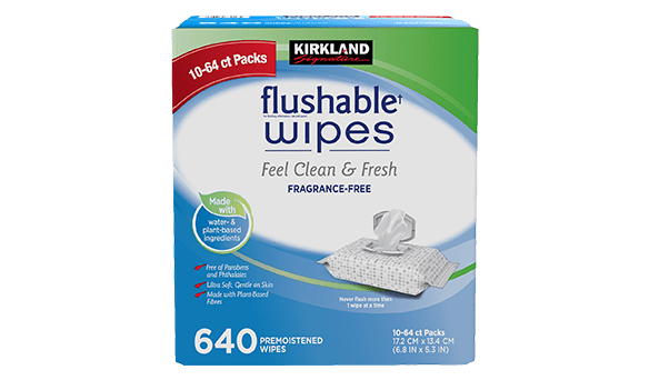 Kirkland Signature Flushable Wipes 640 count