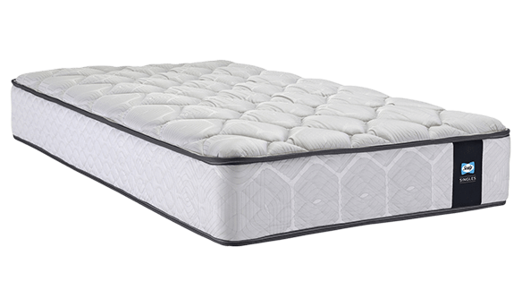 Sealy Mattress King Single