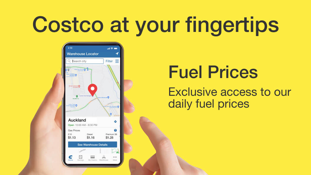 Fuel Price in App